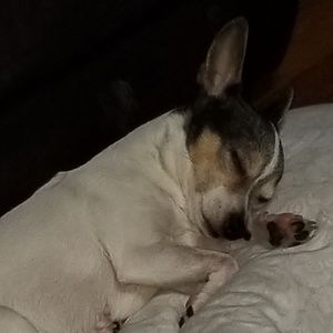 Meet your Posher, Rosalyn